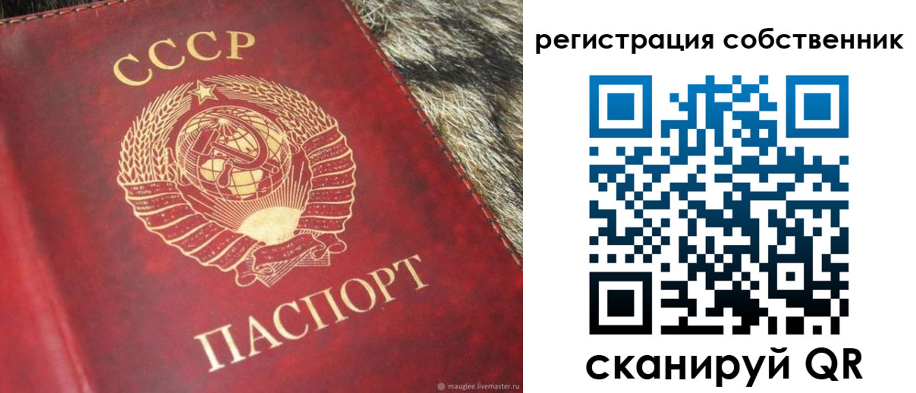 временная регистрация надежно в Мончегорске